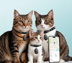 Pack of 3 - Smart Cat Tracker Collar