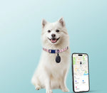 Smart Tracker Collar (Small Dog)