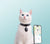 Smart Cat Tracker Collar